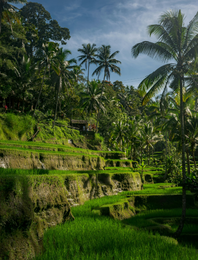 Scenic destination