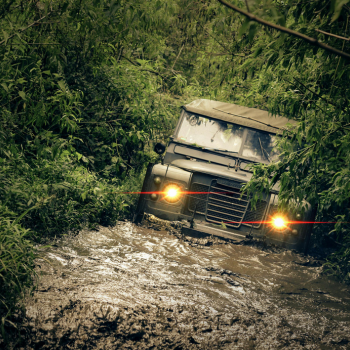 Jungle Safari