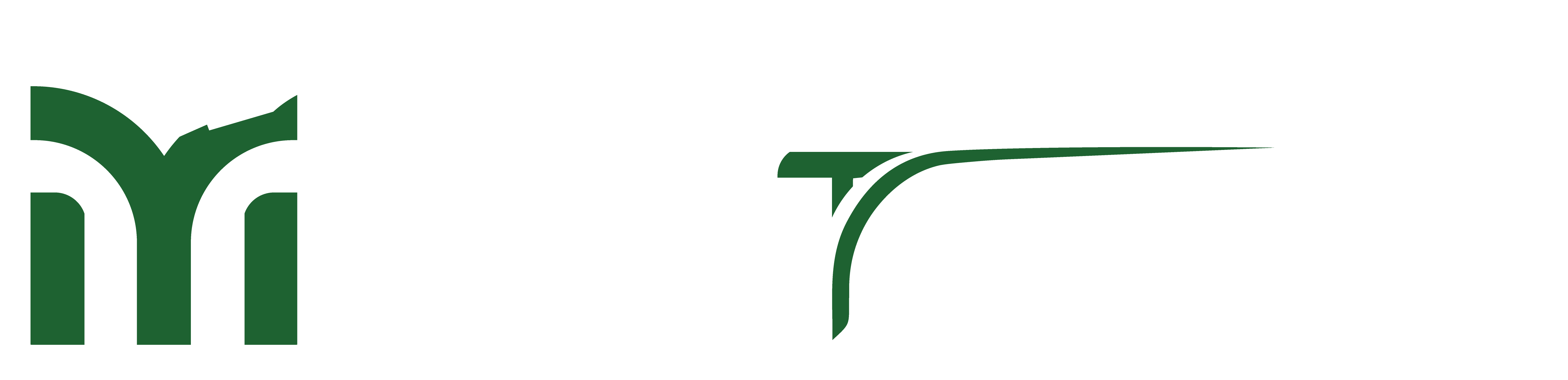 Matrix Tourism Logo